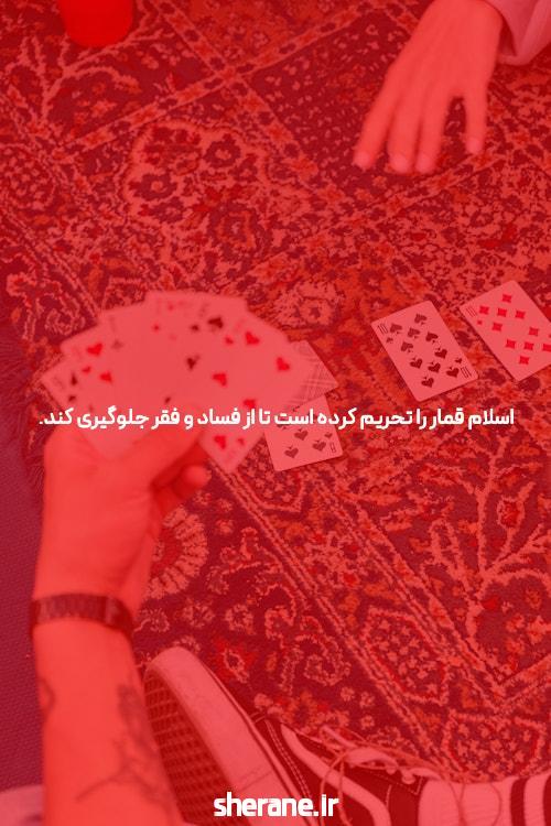 معرفی سایت و اپلیکیشن شرط بندی Bingo: دنیای جدید سرگرمی و شانس